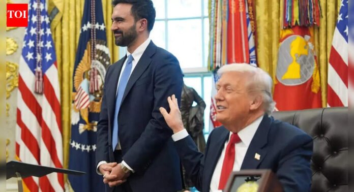 'Fascist, jihadist next to each other?' Trump-Mamdani grilled at White House meet - watch viral moment