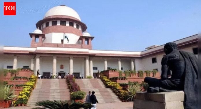 In a 1st, SC goes all-swadeshi in Presidential reference opinion | India News
