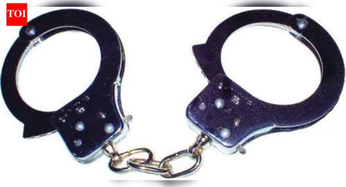 Mumbai cyber police arrest Pune man for role in 75 lakh investment scam | Mumbai News