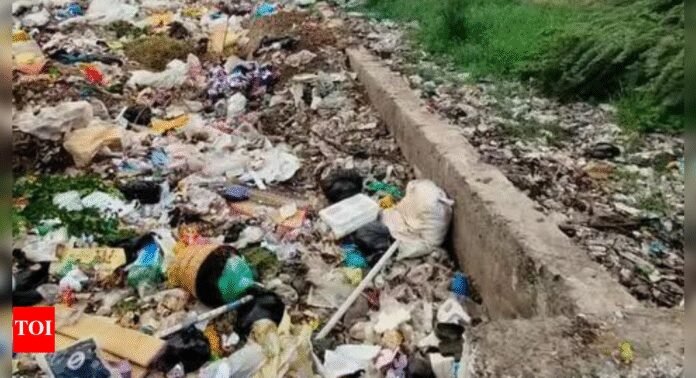 NCP Protests Waste Management Failure by Dumping Garbage Outside Thane Municipal HQ | Thane News