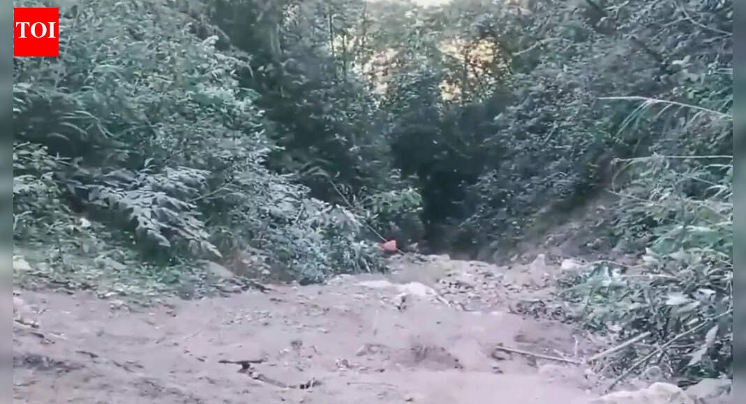 22 feared dead in Arunachal gorge tragedy | India News
