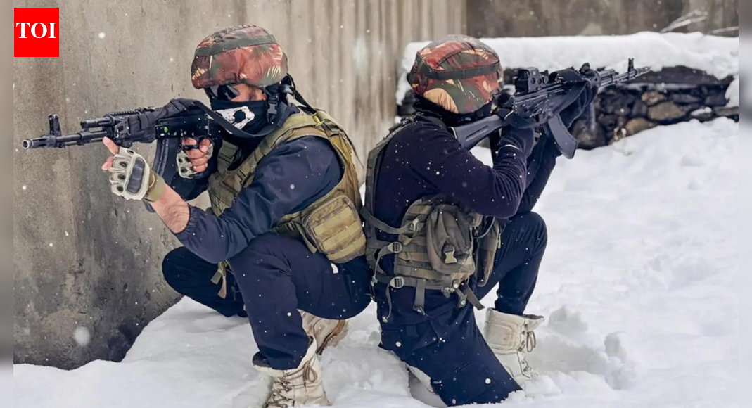 30–35 terrorists on radar: Army steps up counterterror ops in J&K; heightened vigilance amid 'Chillai Kalan' | India News