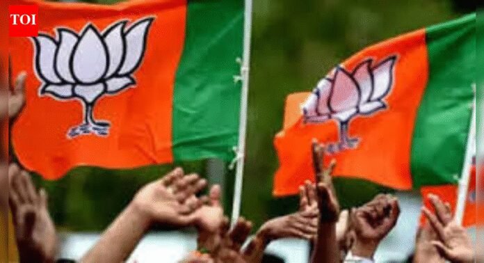 6 BJP aspirants from same Loha family lose polls | India News