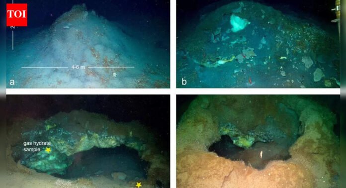 A hidden Arctic world: Methane mounds and life found 3.6 km below the Greenland Sea |