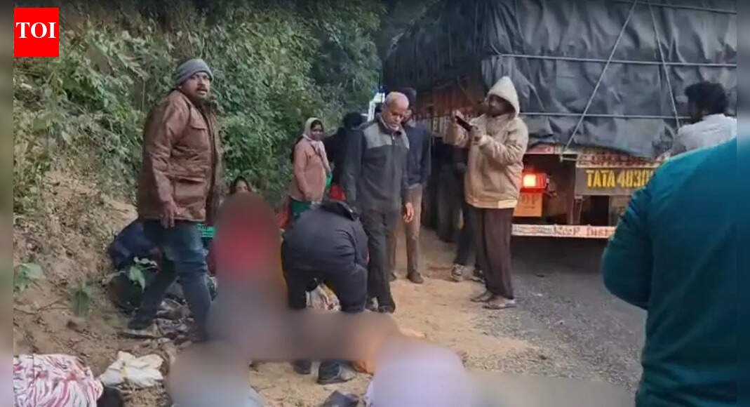 Andhra Pradesh pilgrimage turns tragic: At least 10 dead as bus falls into gorge; rescue ops launched | Vijayawada News