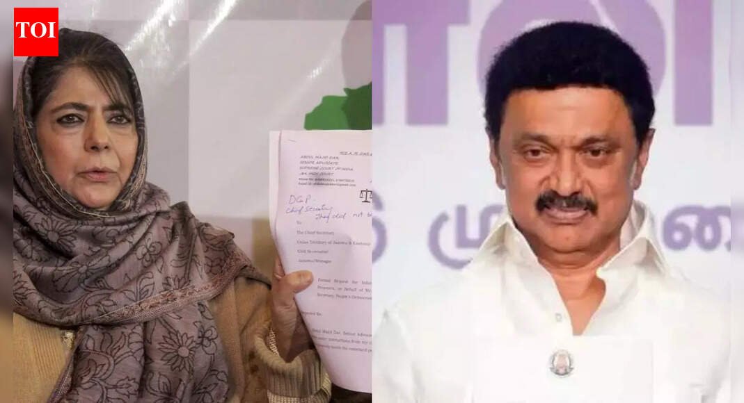 'Ask Stalin to speak in Urdu or English': Mehbooba Mufti snaps at journalist; continues to use Kashmiri - watch | India News