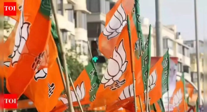 BJP gears up to go solo in Ulhasnagar civic polls amid alliance uncertainty | Thane News