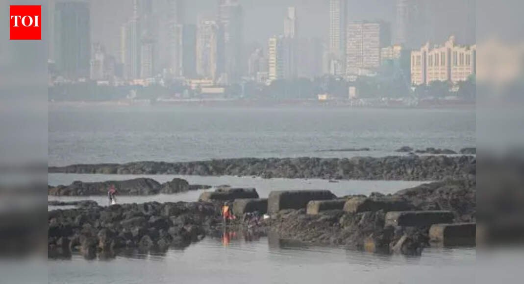 BMC carries out fire safety inspections at 2,703 Mumbai establishments ahead of new year celebrations | Mumbai News