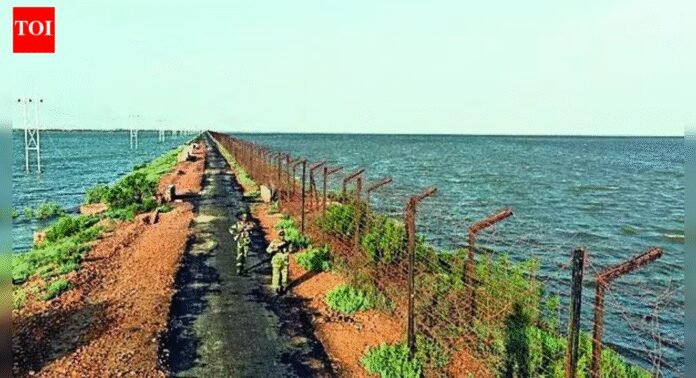 BSF warns of 120 terrorists on LoC launch pads | India News