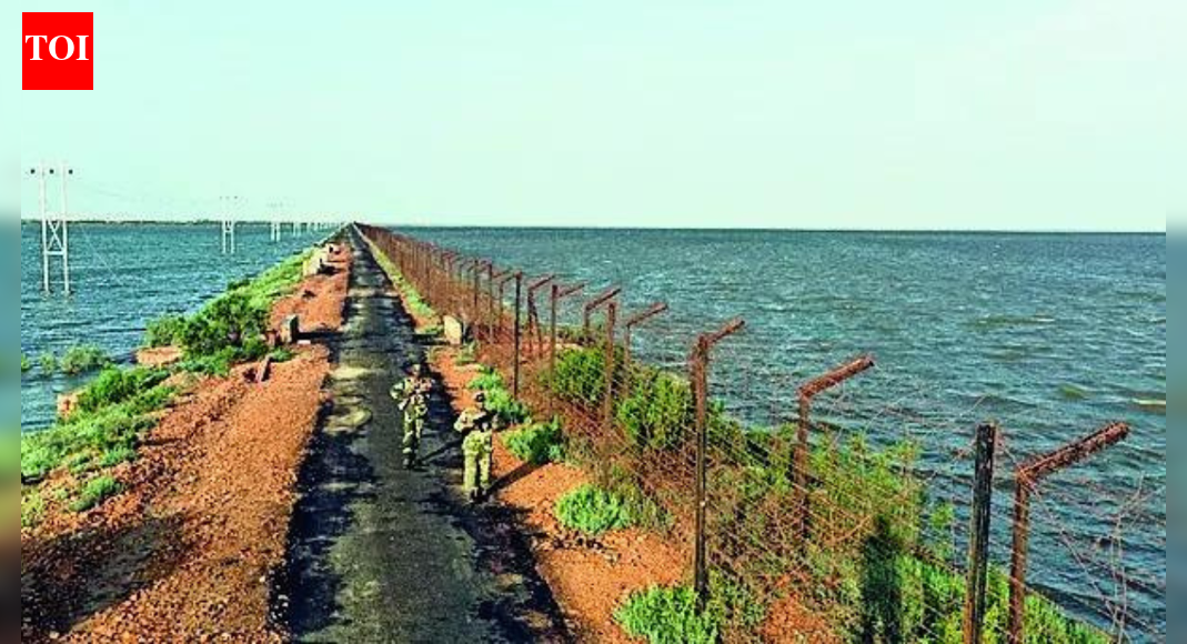 BSF warns of 120 terrorists on LoC launch pads | India News