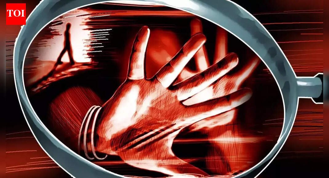 B’day outing turns nightmare: IT manager ‘gang raped’ by CEO, executive head’s husband in car; dashcam reveals horror | Jaipur News