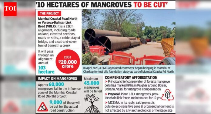 Bombay high court approves BMC plea for Versova-Bhayander coastal road project impacting 45k mangroves, seeks yearly updates on compensatory afforestation | Mumbai News