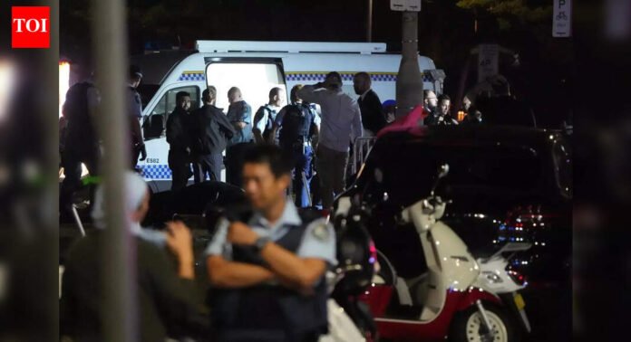 Bondi Beach shooting: Agencies identify one gunman - what we know so far