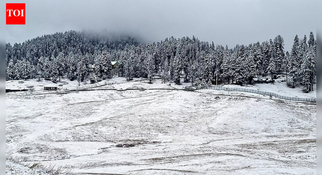 Chillai-Kalan begins: Kashmir sees snow and rain in its higher reaches - watch | India News