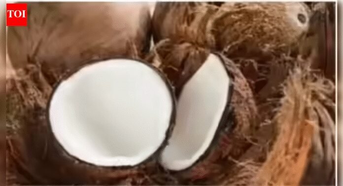 Copra price boost: Govt hikes Copra MSP for 2026 season; farmers to get up to Rs 12,500 per quintal