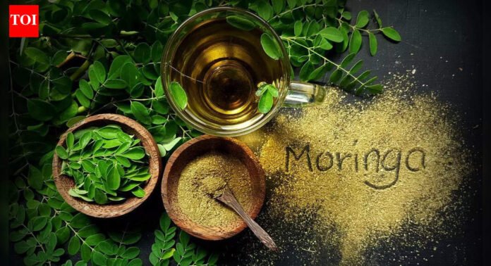 Could chewing moringa leaves really boost your health? |