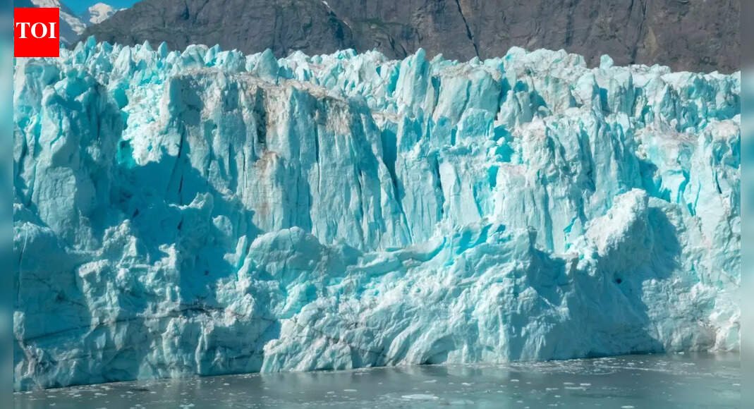 Could global warming paradoxically freeze the planet: How tiny ocean organisms could flip Earth’s climate |