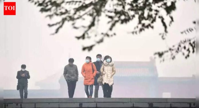 Delhi Pollution: ‘This is how we did it’ China embassy has advice for Delhi pollution; ultra-strict vehicle norms, public transport push key | Delhi News