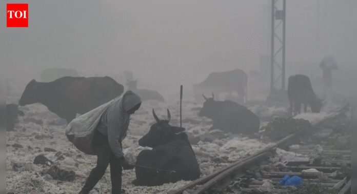 Delhi air pollution: Singapore, UK and Canada issue advisory as AQI soars; caution travelers | India News