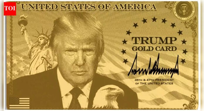 Donald Trump on $1 million ‘Gold Card’ visa: Nobody talked to me more about it than Apple CEO Tim Cook who said ...