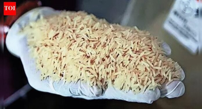 Donald Trump's rice tariffs threat unlikely to have severe impact on exports | India News