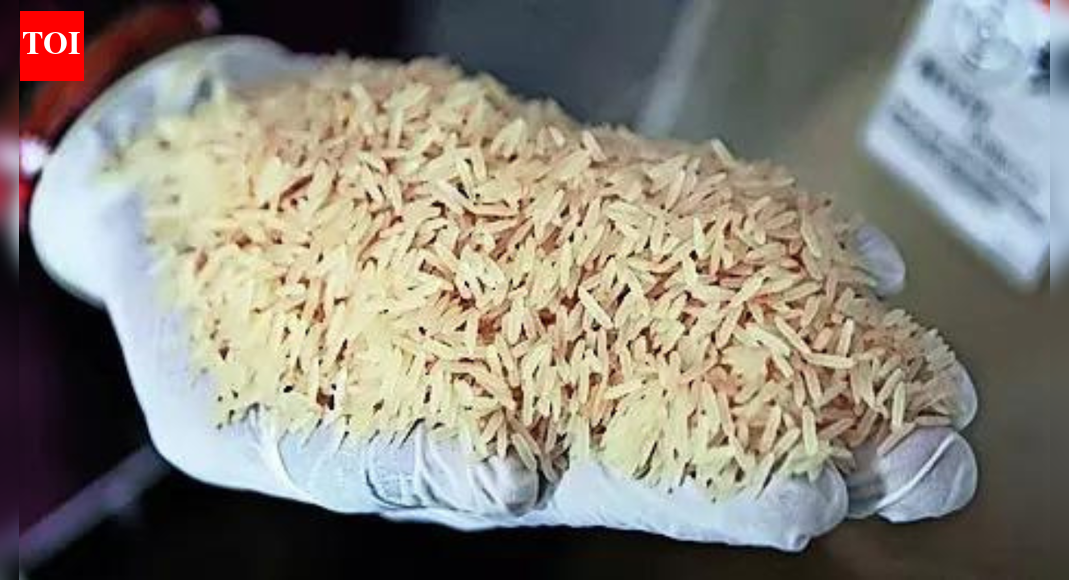 Donald Trump's rice tariffs threat unlikely to have severe impact on exports | India News
