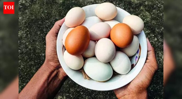 Eggs in India pose no cancer risk, says food safety regulator