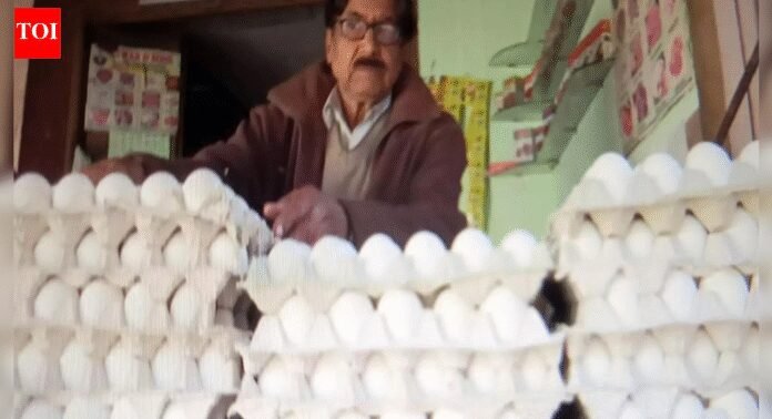 Eggs safe, cancer claims baseless: FSSAI | India News