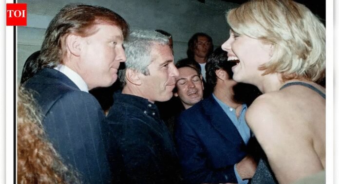 Epstein files: Trump's name appears in latest file drop; listed as passenger on 8 private jet flights