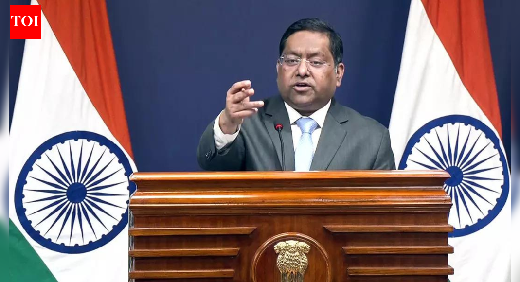 'Finger pointing': India rejects Pakistan's charges of attacks on minorities; hits back at its own 'abysmal record' | India News