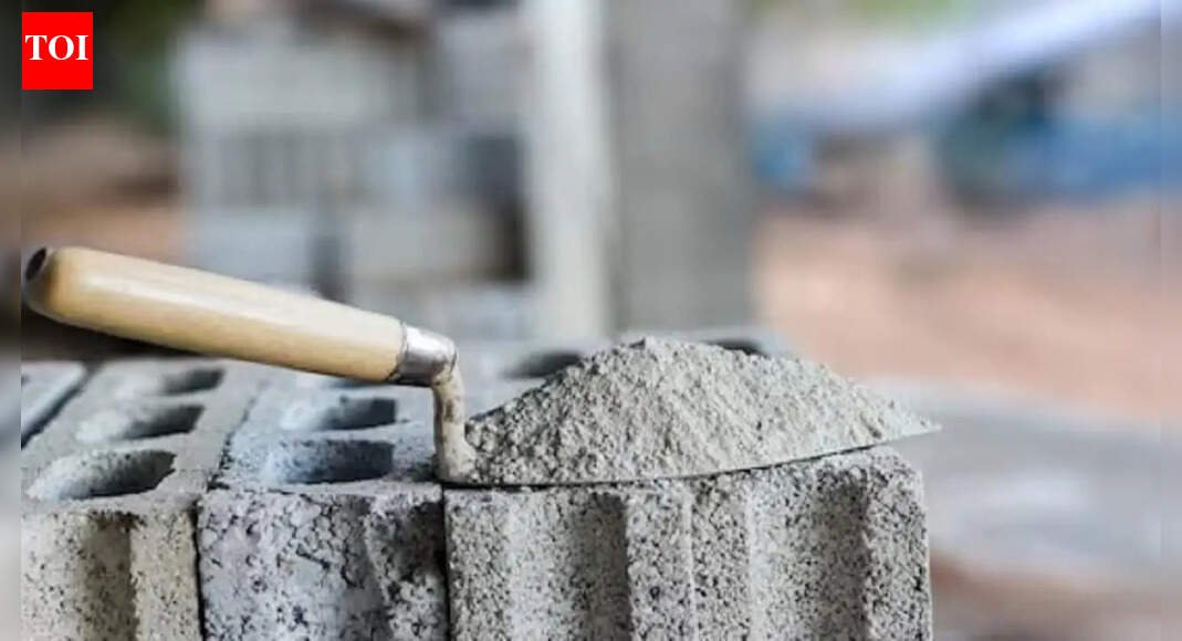Frontier to buy B K Birla group co Kesoram