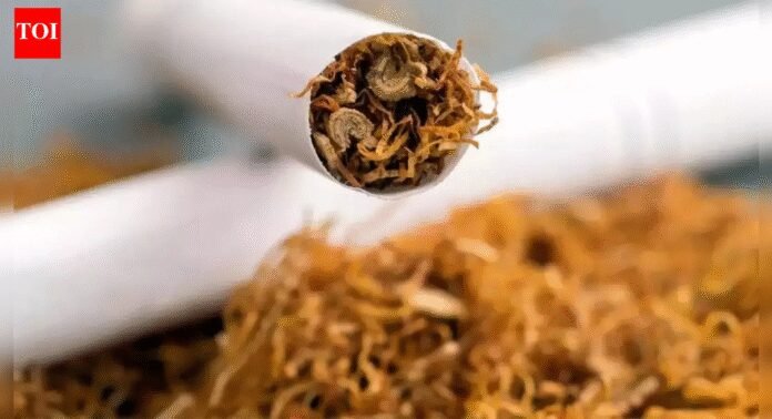 'Gogo paper' banned: Gujarat bars sale of rolling papers, pre-rolled cones; cites youth addiction | India News