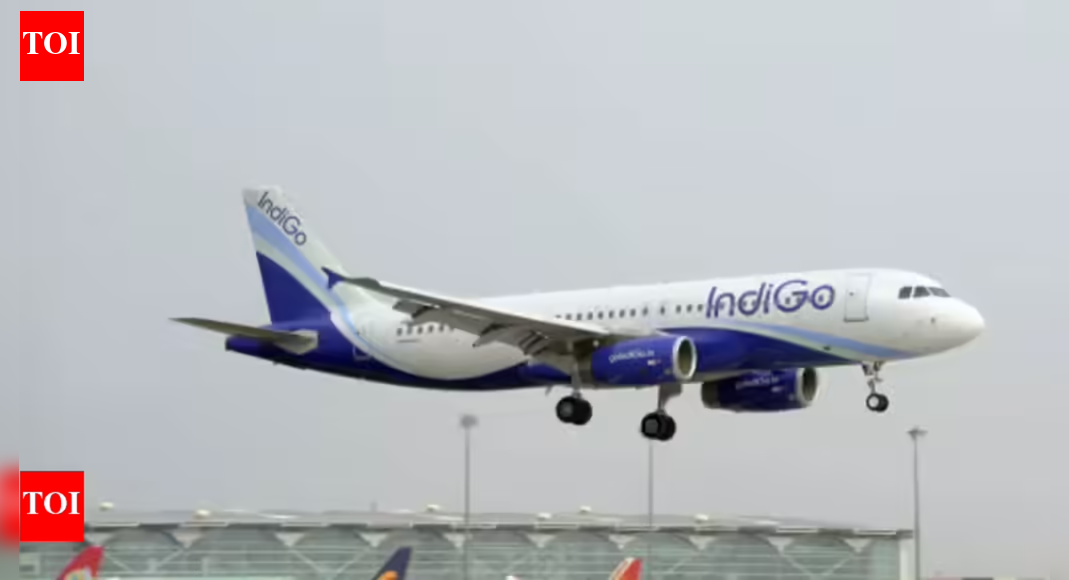 Govt may give 5% of IndiGo flight share to other airlines | India News