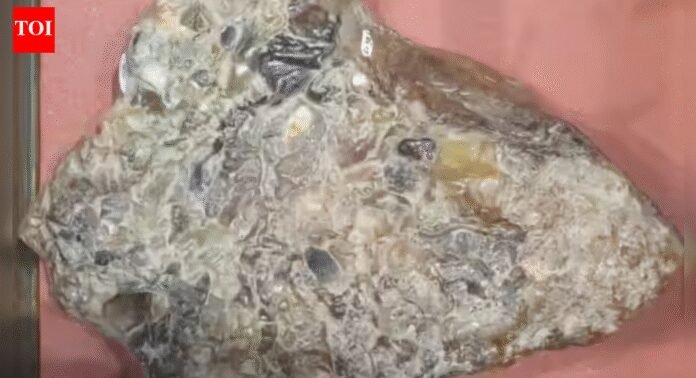 Gujarat man arrested with whale vomit worth Rs 80 lakh in Mumbai | Mumbai News