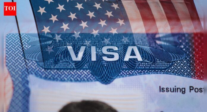 H-1B visa row: Applicants get 221 (g) slip as social media vetting kicks in; what it means and impact on future visa processing