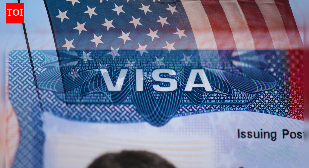 H-1B visa row: Applicants get 221 (g) slip as social media vetting kicks in; what it means and impact on future visa processing