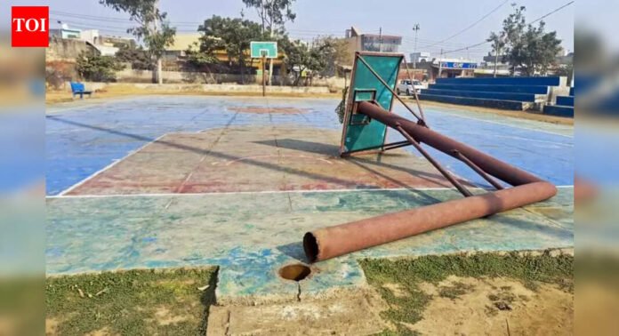 Haryana sports dept gives itself clean chit in deaths of teen basketballers | India News