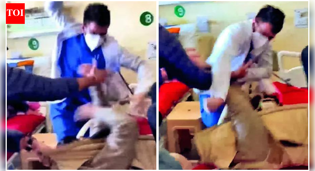 Himachal Pradesh: Doctors launch indefinite strike after colleague sacked over assault; demand immediate reinstatement | India News