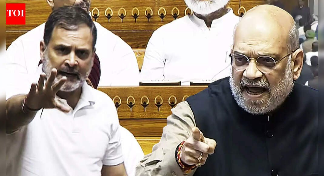 Home minister did not answer my questions: Rahul Gandhi | India News