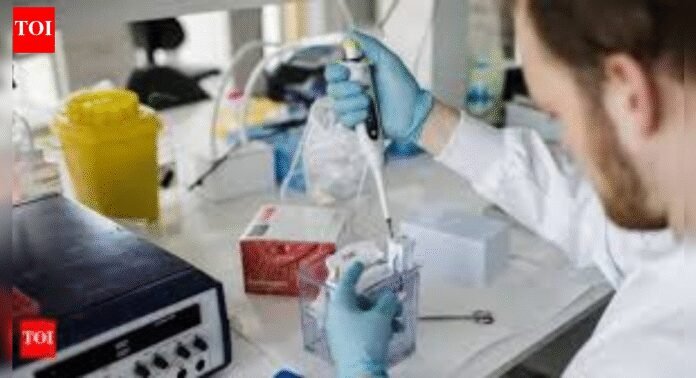 IIT, Australian university develop nanotech drug delivery for breast cancer | India News