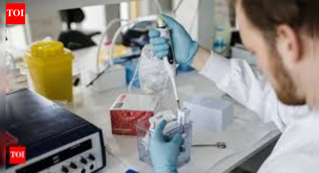 IIT, Australian university develop nanotech drug delivery for breast cancer | India News