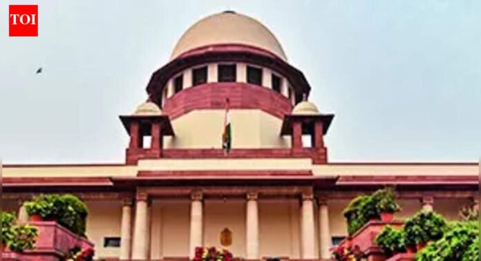 Illegal migrants have no legal rights, says SC | India News
