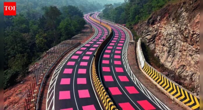 In MP, a highway learns to slow down for tigers | India News