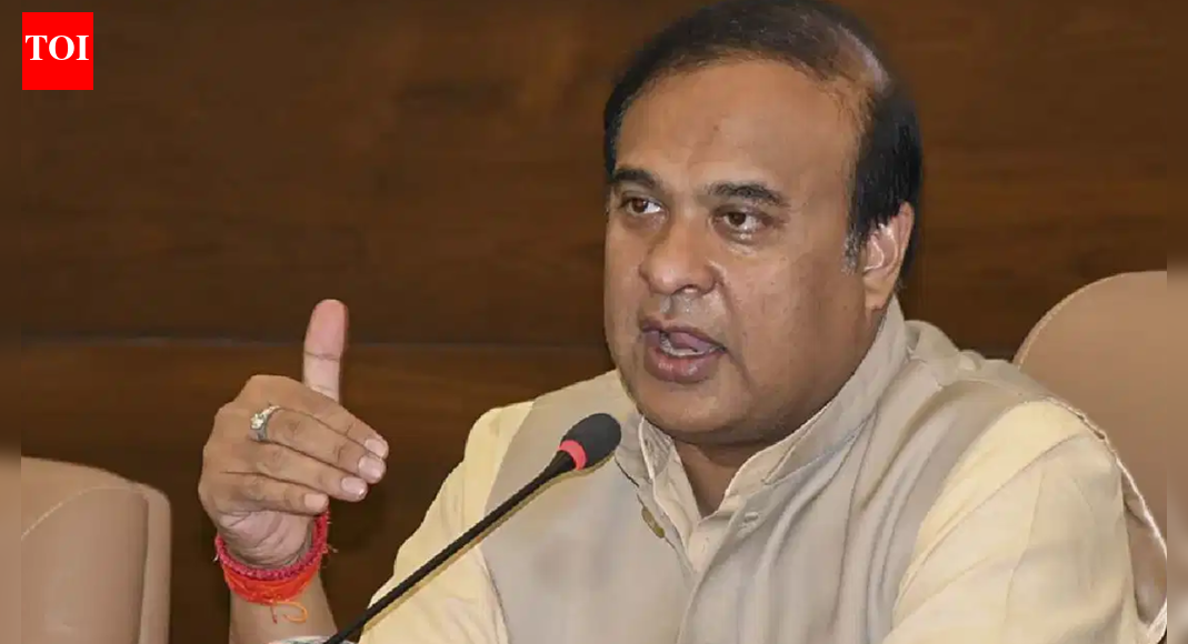'India will teach them lesson': Assam CM slams Bangladesh leader; remark on NE states in focus | India News