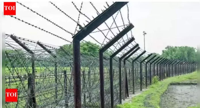 Indo-Bangladesh border records highest infiltration cases in 2025: Govt data | India News