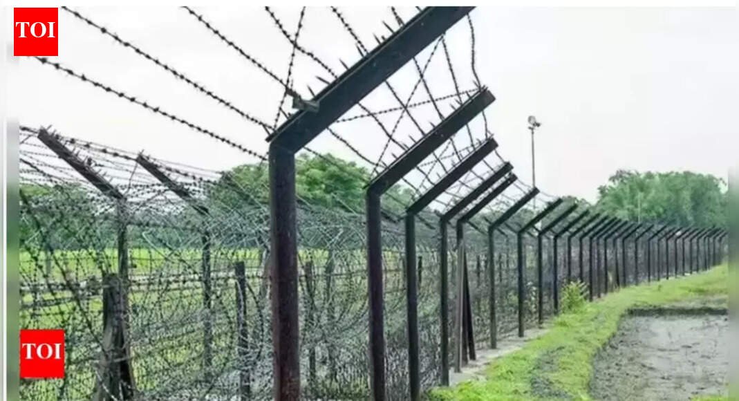 Indo-Bangladesh border records highest infiltration cases in 2025: Govt data | India News