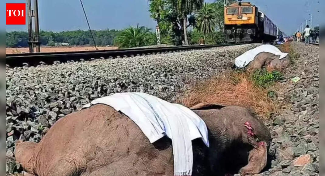 Jharkhand cancels 8 trains from Dec 22–24, NE imposes curbs; elephant toll in Rajdhani crash rises to 8 | Guwahati News