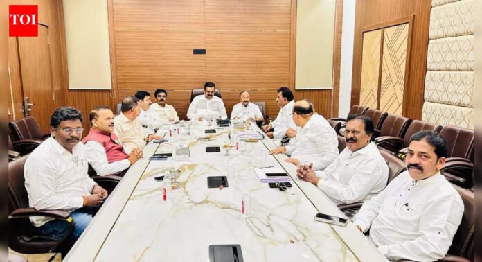 KDMC elections near: 550 aspirants apply to Shiv Sena; alliance talks begin with BJP | Thane News