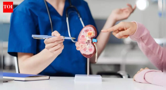 Kidney health: 5 everyday habits that can damage kidneys in women after 40, according to a US-based physician |
