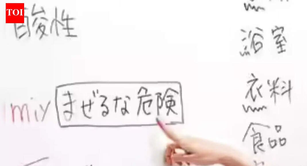 Konnichiwa, Japan! Jobs,language lessons beckon | India News